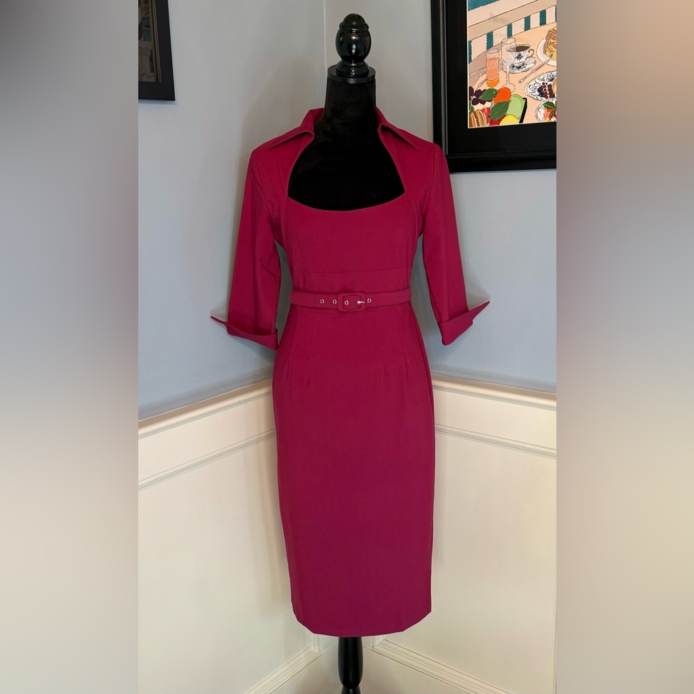 Glamour Bunny 1950s Style Raspberry Sleeved Lorelei Pencil Dress Sz S